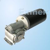 DC Wormgear Motor Sg Series