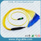 MPO-Sc12 Single Mode Duplex Fibers Optic Patch Cord