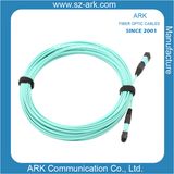 MPO/MTP 12 Cores Optical Fiber