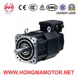 St Series Servo Motor/Electric Motor with 220V/CE Certificates