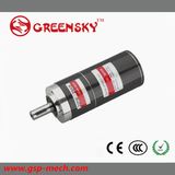 GS 24V 10W 22mm Planetary Brushless DC Motor