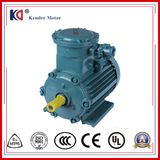 AC Induction Phase Ex-Proof Motor with Energy Saving