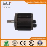 Slt110slf Brushless DC Motor 315V for Electric Tools