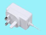 28.8W BS White Casing Universal AC/DC Adapter Switching Power Supply