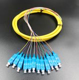 Optical Fiber 12 Cores Bound Pigtail for Network Transmission and Wireless CCTV