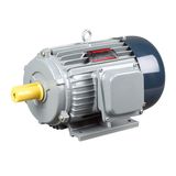 Y Series 3 Phase AC Induction Motor for Food and Agriculture Machine