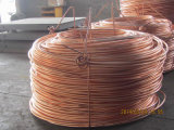 China Supplier of Copper Wire Brass Wire with High Quality