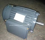 IEC Tefc Single Phase AC Electric Motor