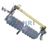 RW-24/100 Hv Cut-out Fuse Silicon Rubber House