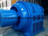 Jr Series Low Temperature Rising Slip Ring Induction Motor