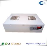Agv/ Ess LiFePO4 Battery Pack 24V 60ah/100ah