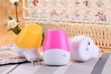 Intelligent Wall Plug Sound Twilight Sensor LED Night Lamp Light