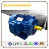 AC Three Phase Electric Motor