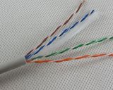 Bulk 305m 23AWG UTP CAT6 Networking Cable Pass Fluke Test