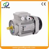 Gphq Ms 0.75kw 1400rpm AC Electric Motor