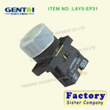 Spring Return Push Button Switch with Waterproof Cap