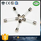 6.35X32 Size 250V/250V Glass Tube Fuses