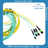 MPO/MTP Patch Cord Cable Assemblies