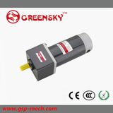 GS High Efficiency AC Reversible 60W 90mm Gear Motor with High Quality