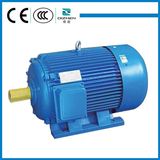 Y Series Three Phase Induction Motor