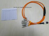 MPO-LC 12cores 50/125 Patch Cords