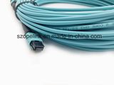 Fiber Optic Data Transmission MPO/MPO Fiber Optic Patch Cord for Optical CATV