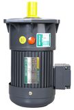 Shaft Dia 18mm Small AC Gear Motor (Vertical)