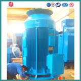 Vertical Solid Shaft Motor Motor