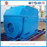Ie2 High Efficiency 6kv Asynchronous AC Motor 1000kw