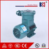 AC Electric Motors Explosion Proof Three-Phase Motor