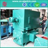 2.2kw~10000kw Dirrect Current DC Motor for Industrial Use