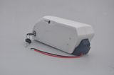 2016 Newest E-Bike 48V Lithium Battery Pack with Controller