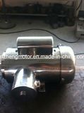 NEMA Standard AC Electric Motor, AC Motor, NEMA Motor