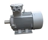 Explosion Proof Motor