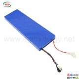 36V 4.8ah 172.8wh Lithium Battery Pack