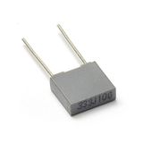 33NF 100V Metallized Polyester Film Capacitor