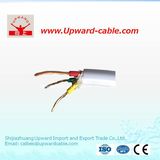 3core Copper Conductor Electric Wire for Building