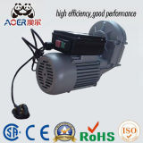 China AC Single Phase Induction Geared Electric Reduction Motor From Concrete Mixer and Cement Mixer