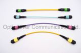 12f 3mm Round LSZH Cable MPO-MPO Patchcord Jumper Optical Fiber Connector Sm mm