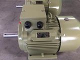 380V-400V Ie2/ Y2/Y3/AC Three Phase Electric Motor with CE (Y2-280M-6)