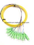 12 Core Bound Optical Fiber Pigtail, 0.9mm, Fanout 0.5m, PVC, for Network and Wireless