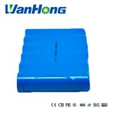 18650 4600mAh 11.1V Lithium Battery for Security and Protection Syastem