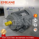 Heavy Duty Three Phase Magnetic Electric Motor 50HP, Ce Certificate