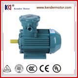 Yb3 Series AC Asynchronous 45kw Explosion Proof Motor
