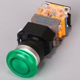 Keyway Illuminated-Mushroom Type Push Button Switch