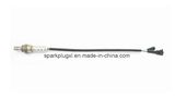 Oxygen Sensor Volvo 6842910