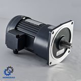 High Speed Ratio Vertical AC Motor with Electromagnetic Brake_D