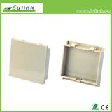 French Type Blank Faceplate Information Outlet Socket Price