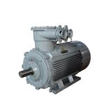 Hongjun Anti Explosion Three Phase Electric Motor for Marine