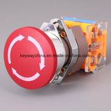 Emergency Keyway Push Button Switch with Drilling 22mm